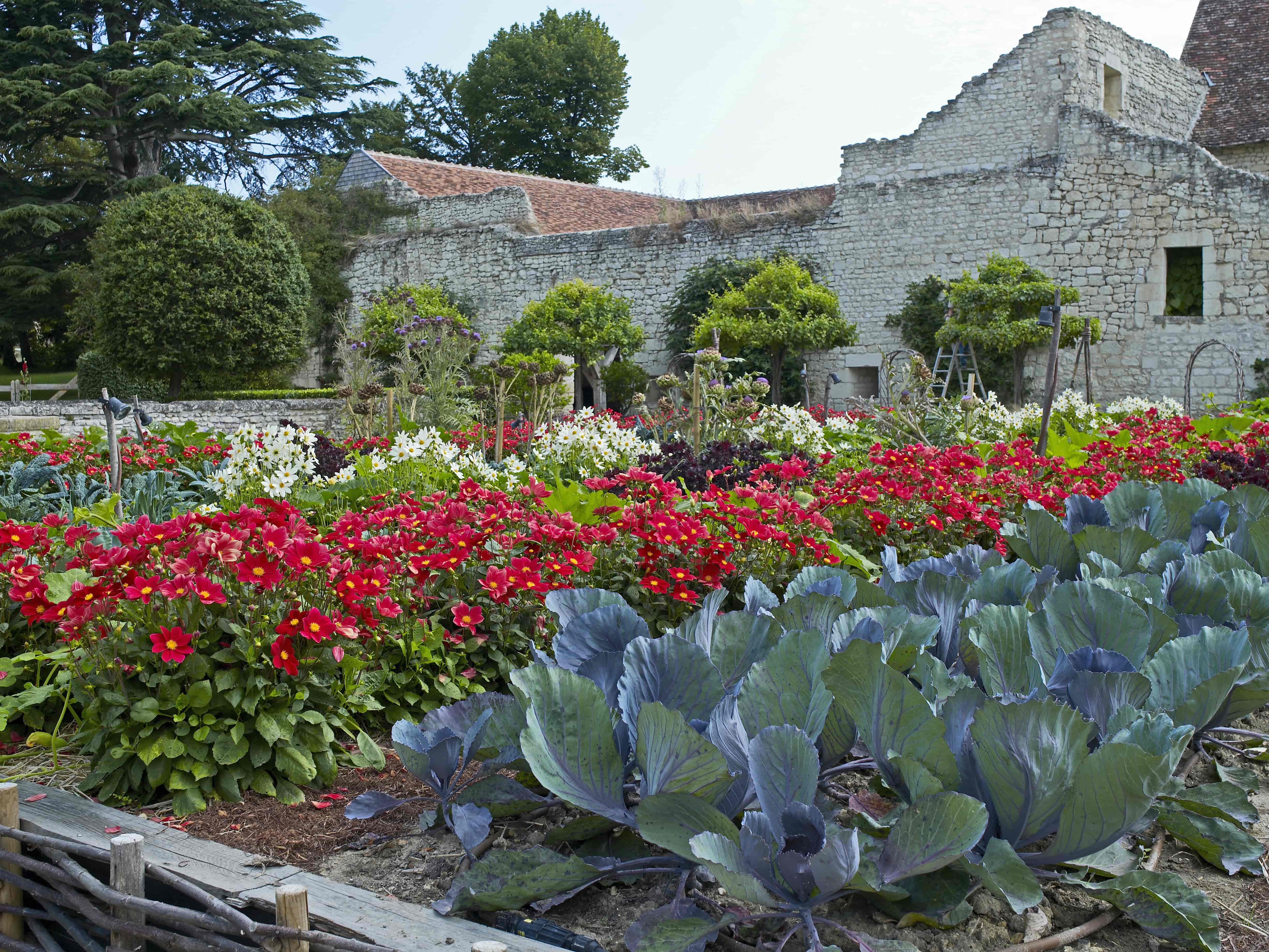 The "Edible Landscape": How to Design a Beautiful Food Garden?
