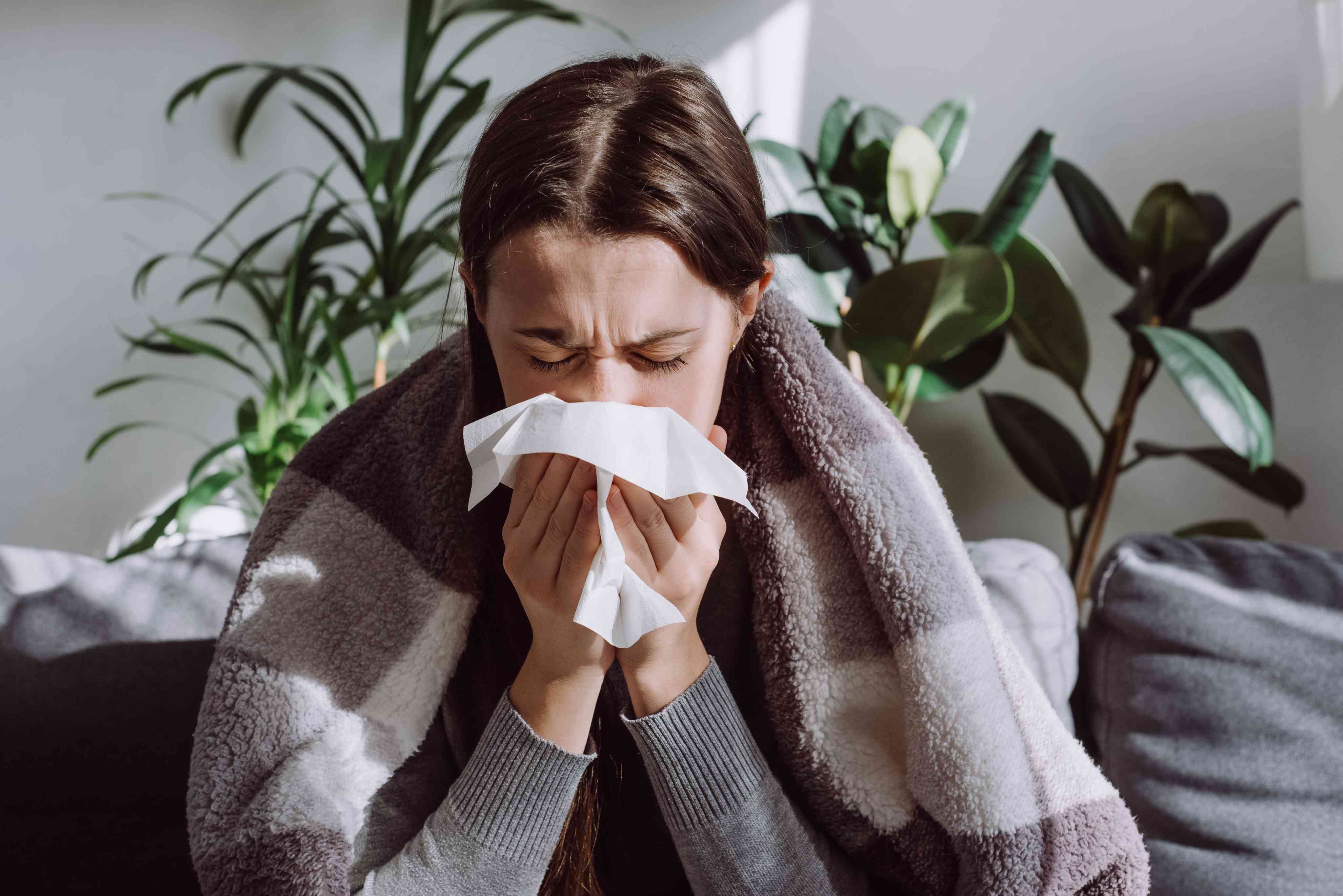 Fall Wellness Plan: How to Boost Your Immune System Naturally?