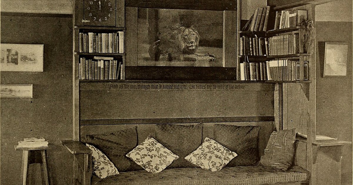 Creating a Cozy Reading Nook in Any Home