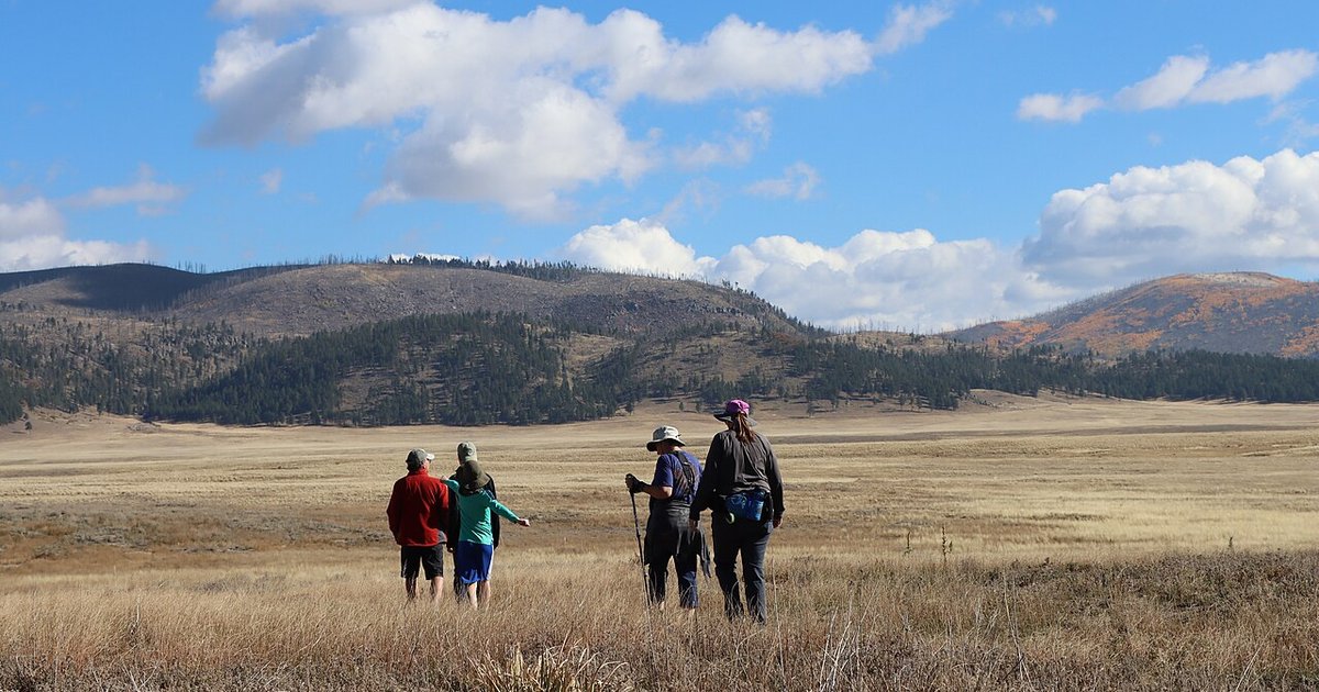 How to Plan an Affordable Family Day Trip Close to Home